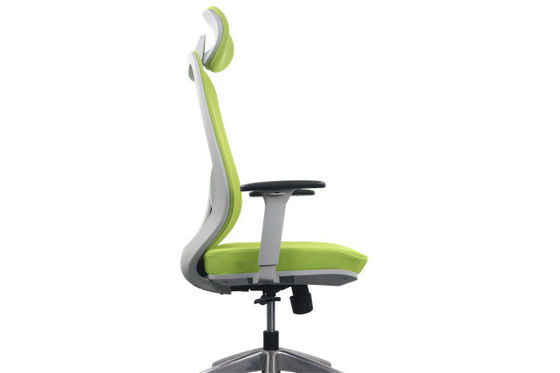 Green Mesh Adjustable Ergonomic Chair , H1165-1260MM Ergo Computer Chair